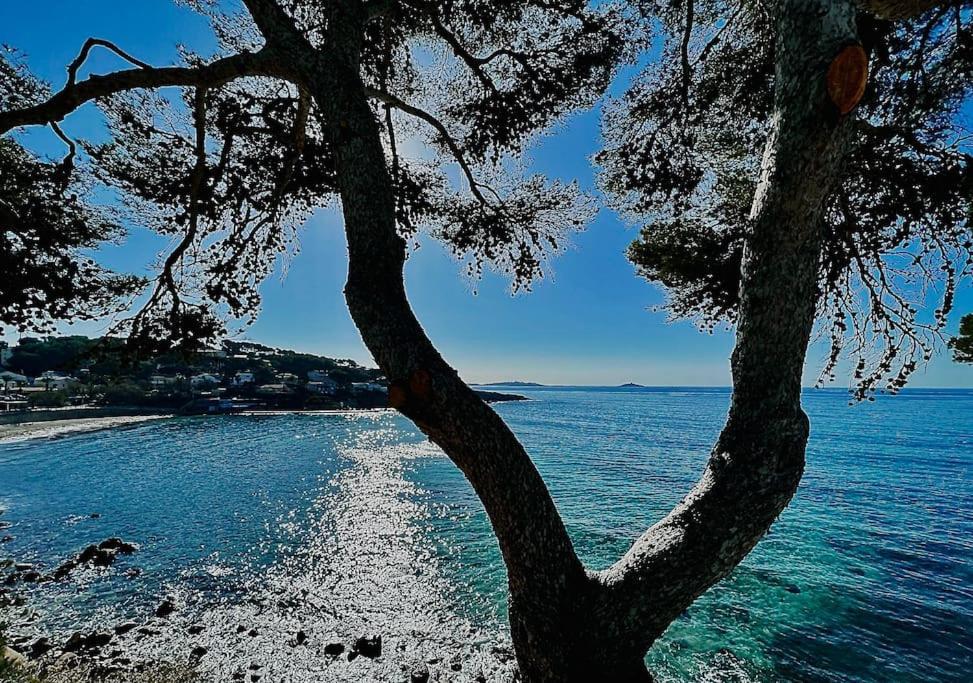 Escapade Au Coeur De Sanary Apartment ภายนอก รูปภาพ