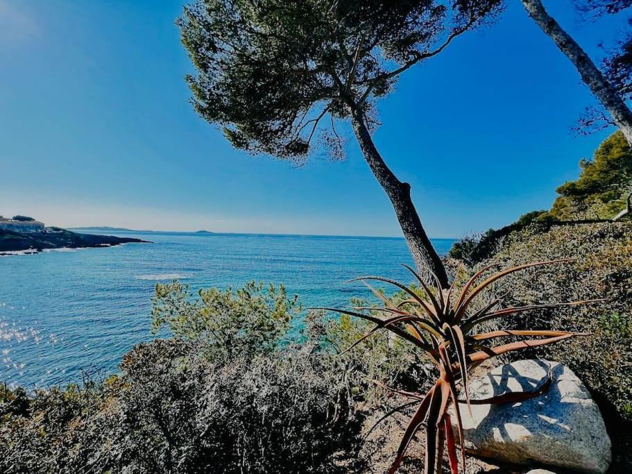 Escapade Au Coeur De Sanary Apartment ภายนอก รูปภาพ